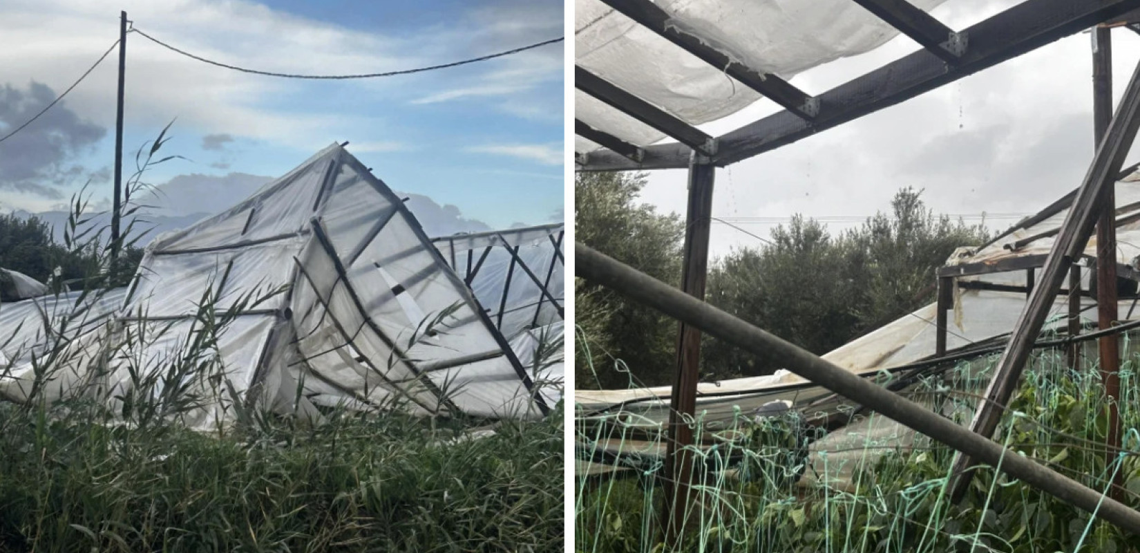 ΦΩΤΟΓΡΑΦΊΕΣ: neakriti.gr