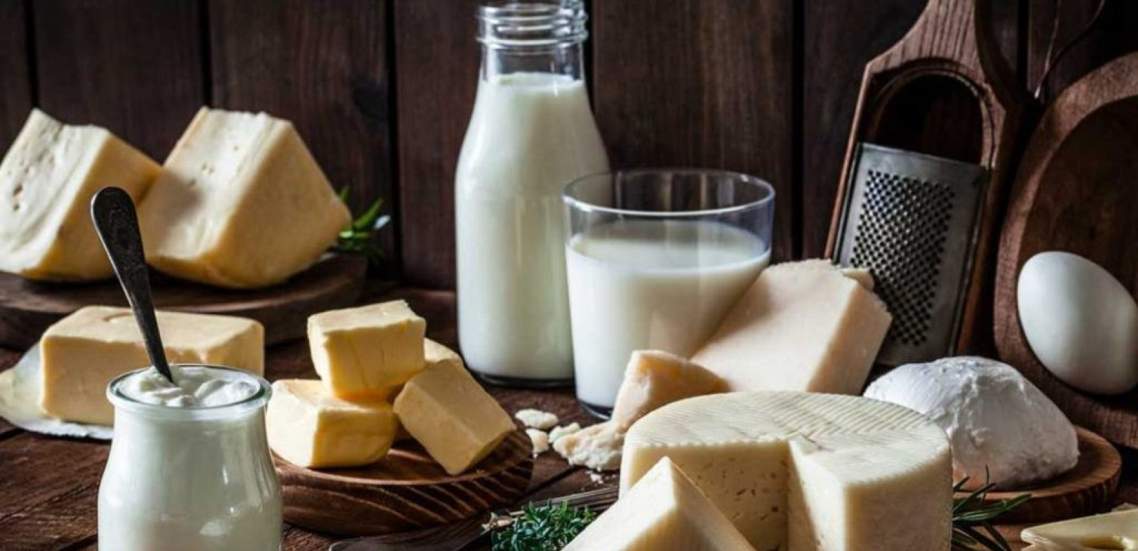 ARTIMA: Μια 20ετής διαδρομή επιτυχίας…ως την κορυφή της ελληνικής αγοράς, στα γαλακτοκομικά προϊόντα