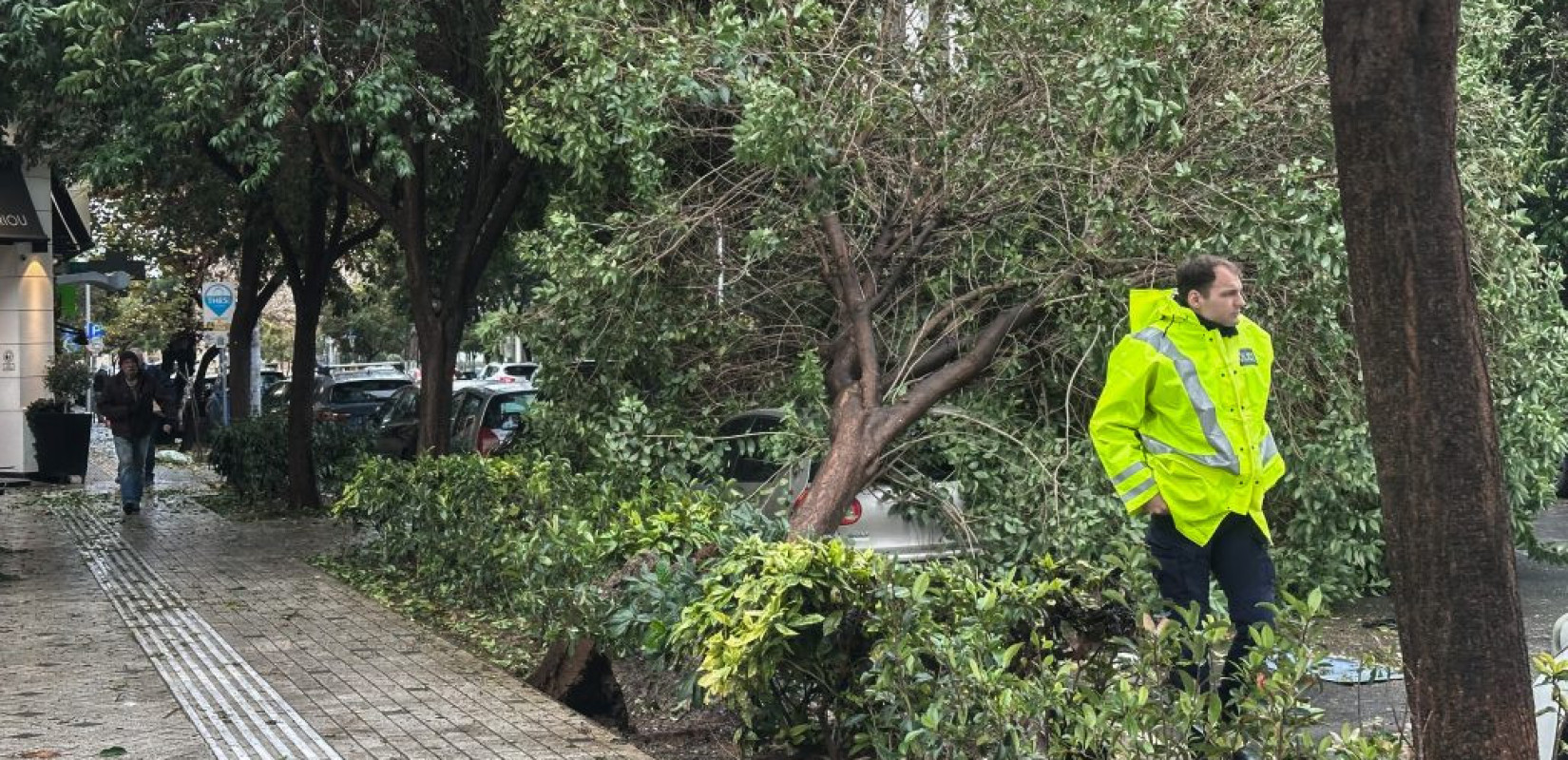 Φωτογραφία Αρχείου