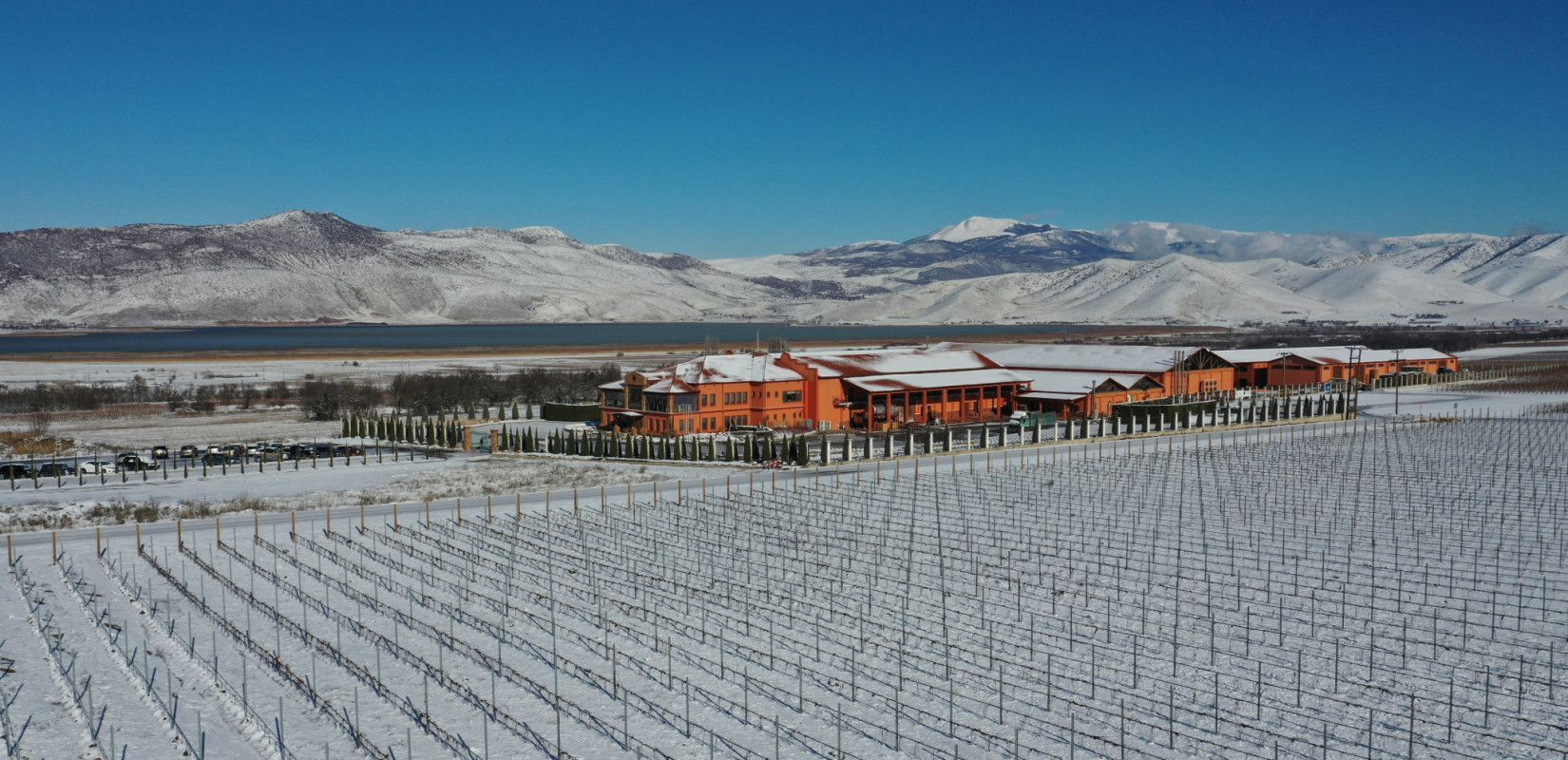 Διεθνής αναγνώριση για το «Κτήμα Άλφα»: Το πρώτο ελληνικό οινοποιείο στην κορυφαία παγκόσμια κοινότητα IVES