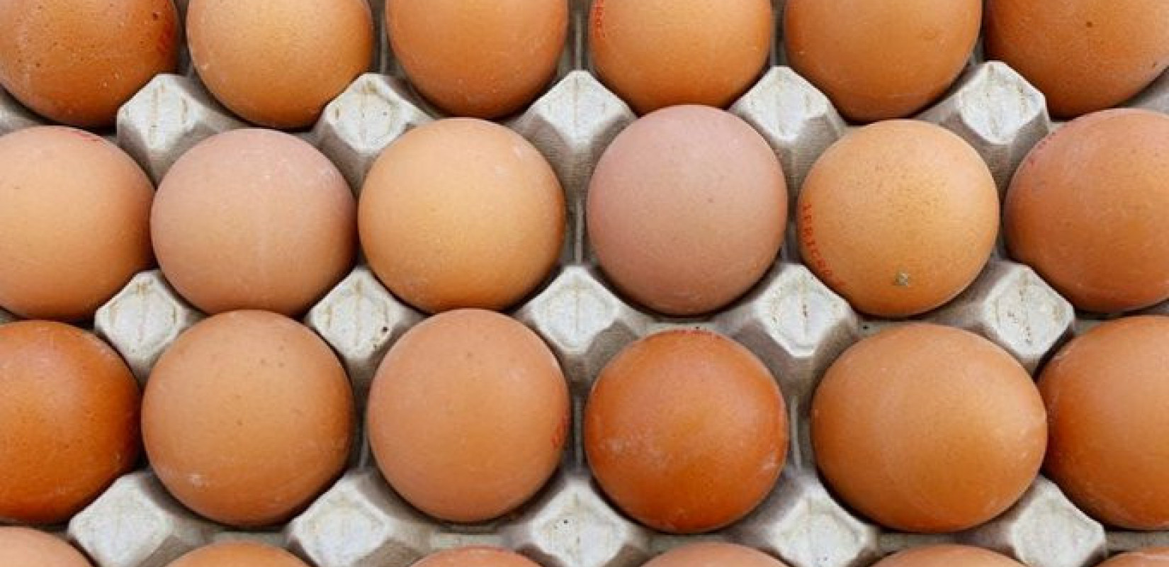 Γαλλία: Ρεκόρ κατανάλωσης αυγών το 2025 – Στα 237 αυγά ανά πολίτη