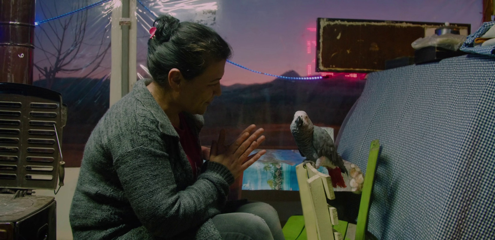 28ο Φεστιβάλ Ντοκιμαντέρ Θεσσαλονίκης: 57 ελληνικά ντοκιμαντέρ διεκδικούν σημαντικά βραβεία