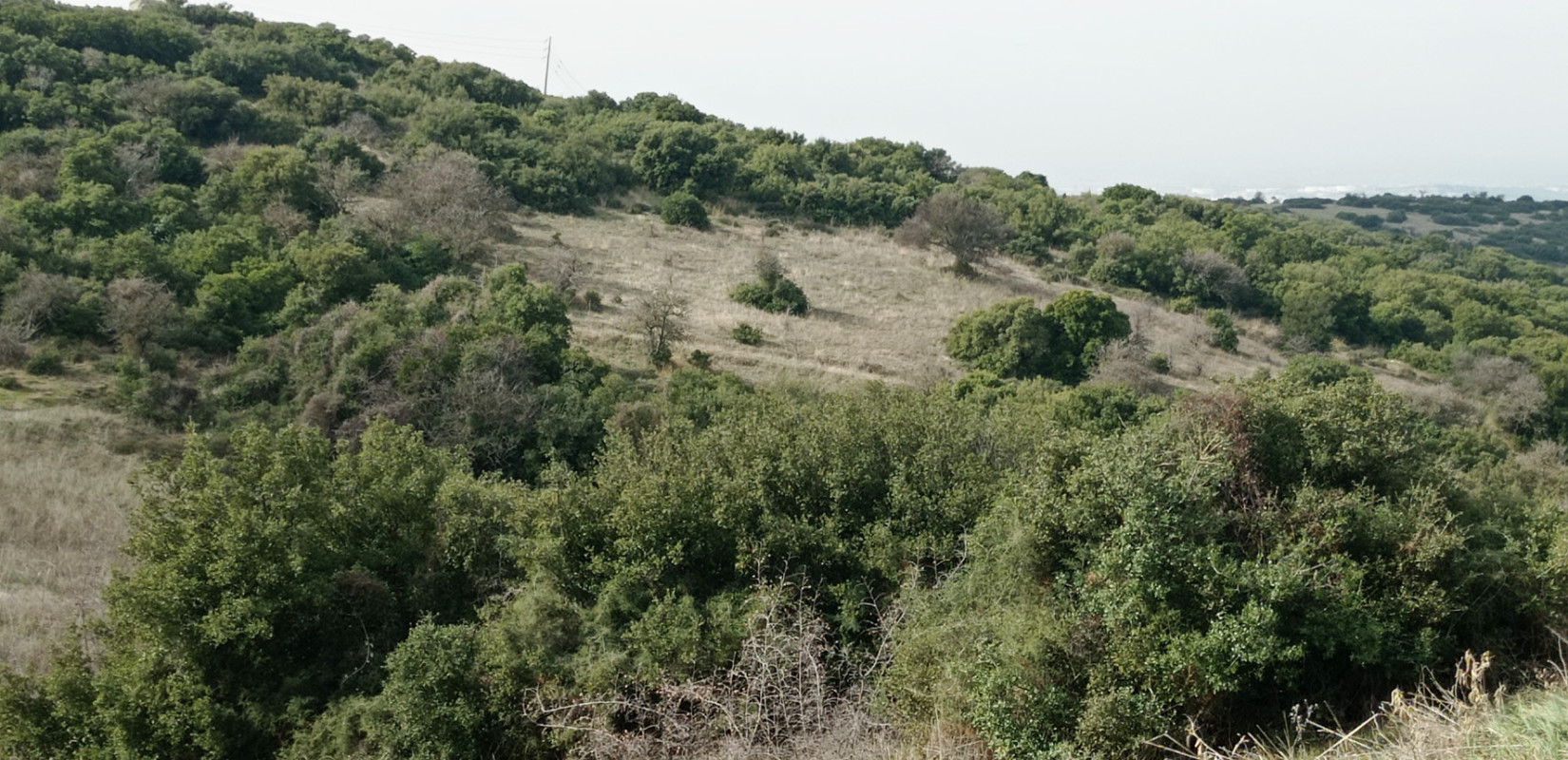 Χαλκιδική: Απαγόρευση κυκλοφορίας αύριο σε Κασσάνδρα και Σιθωνία λόγω υψηλού κινδύνου πυρκαγιάς