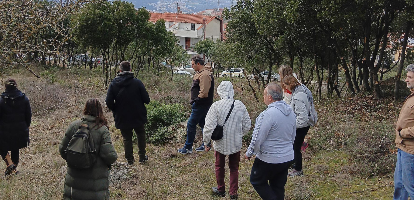 Δήμος Νεάπολης-Συκεών - Μια νέα «ανάσα» για τα Πεύκα: Ολιστική παρέμβαση αντιπυρικής προστασίας μεταμορφώνει το περιαστικό δάσος