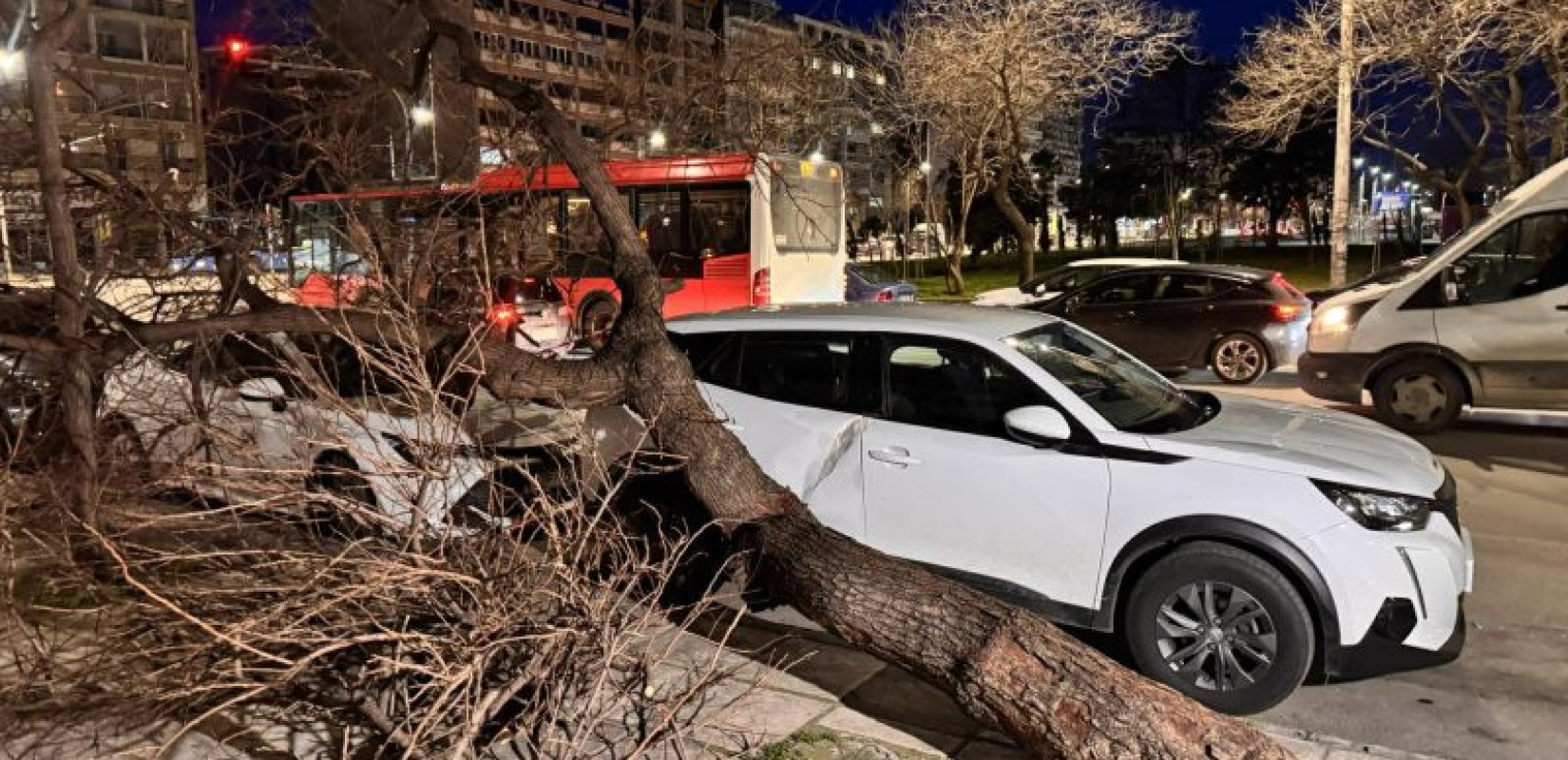 Θεσσαλονίκη: Σοβαρά προβλήματα από τους ισχυρούς ανέμους - Έπεσε δέντρο σε δύο σταθμευμένα αυτοκίνητα