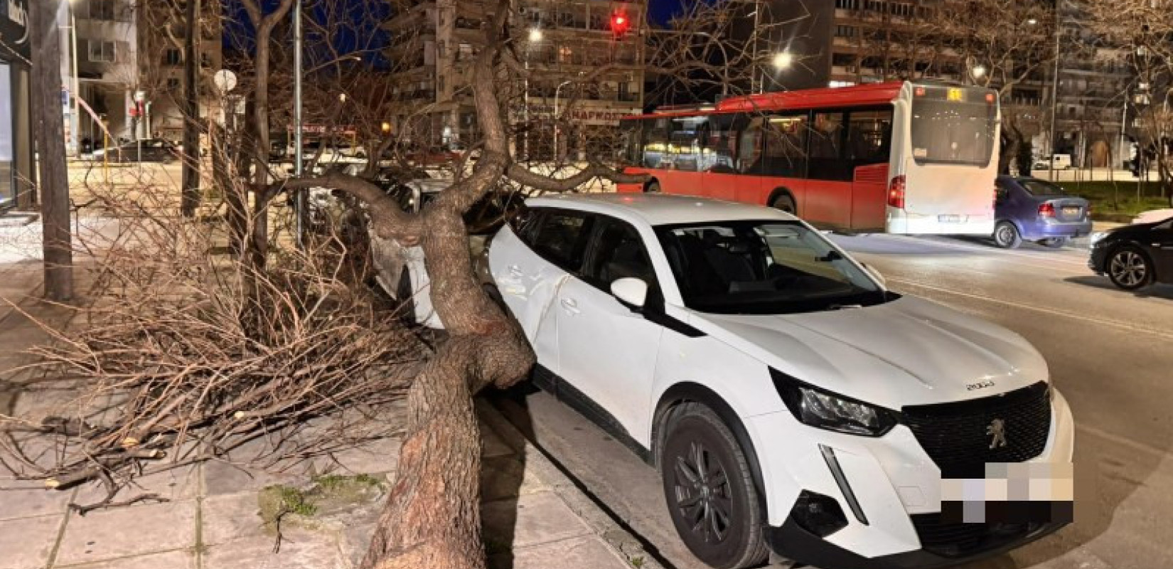 Θεσσαλονίκη: Πάνω από 650 κλήσεις στην Πυροσβεστική για πτώσεις δέντρων και αντικειμένων λόγω του αέρα