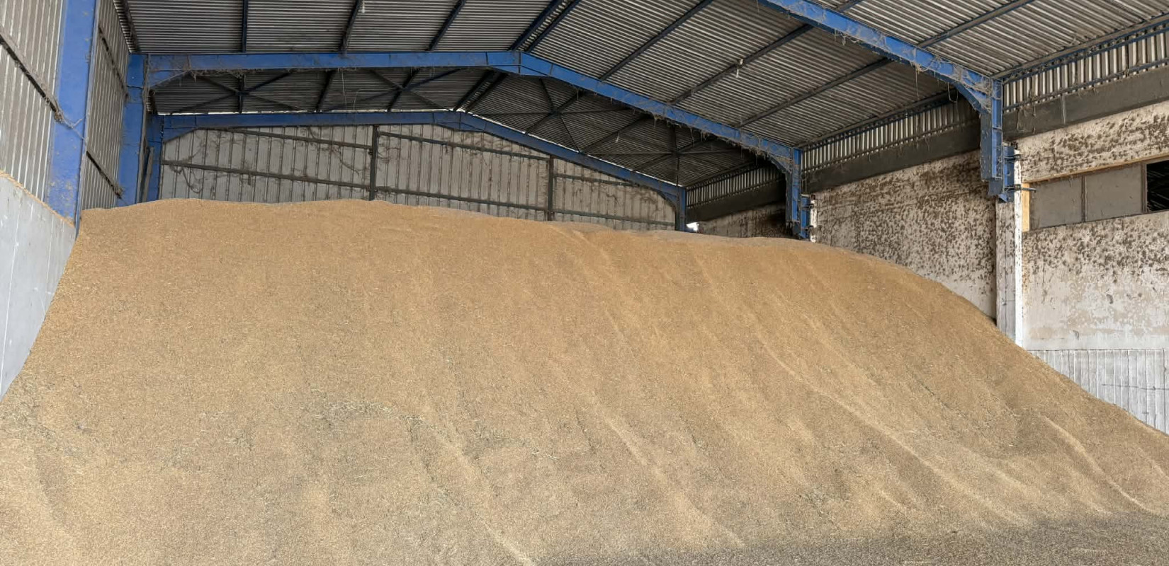 Σε αδιέξοδο οι ορυζοπαραγωγοί της Δυτικής Θεσσαλονίκης- Γεμάτες αποθήκες και άδειες τσέπες οδηγούν σε νέες κινητοποιήσεις