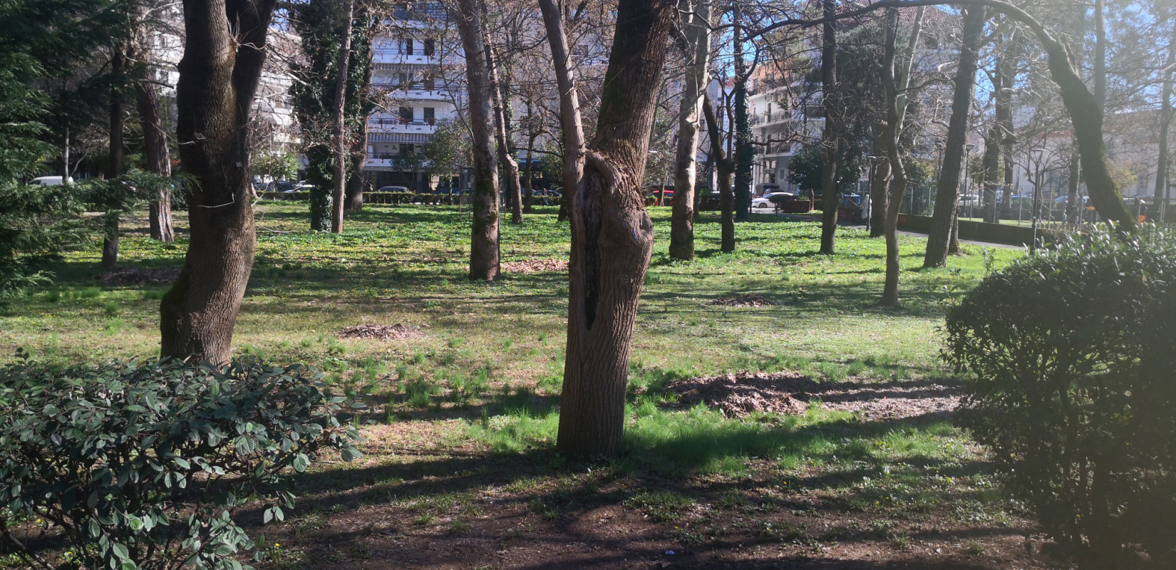 Καρδίτσα: Πώς το πάρκο Παυσίλυπο του 1901 αποτελεί έως σήμερα σημείο κατατεθέν της πόλης