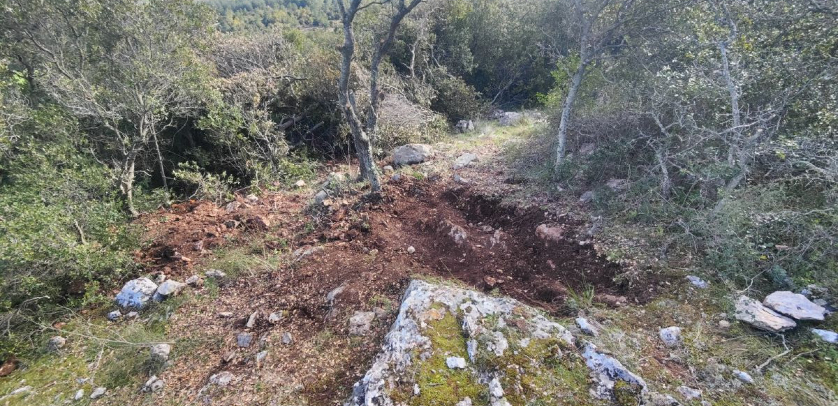 Θεσσαλονίκη: Συνελήφθησαν αρχαιοκάπηλοι την ώρα που έκαναν ανασκαφή - Έσκαβαν ακόμα και μέσα σε αρχαιολογικούς χώρους