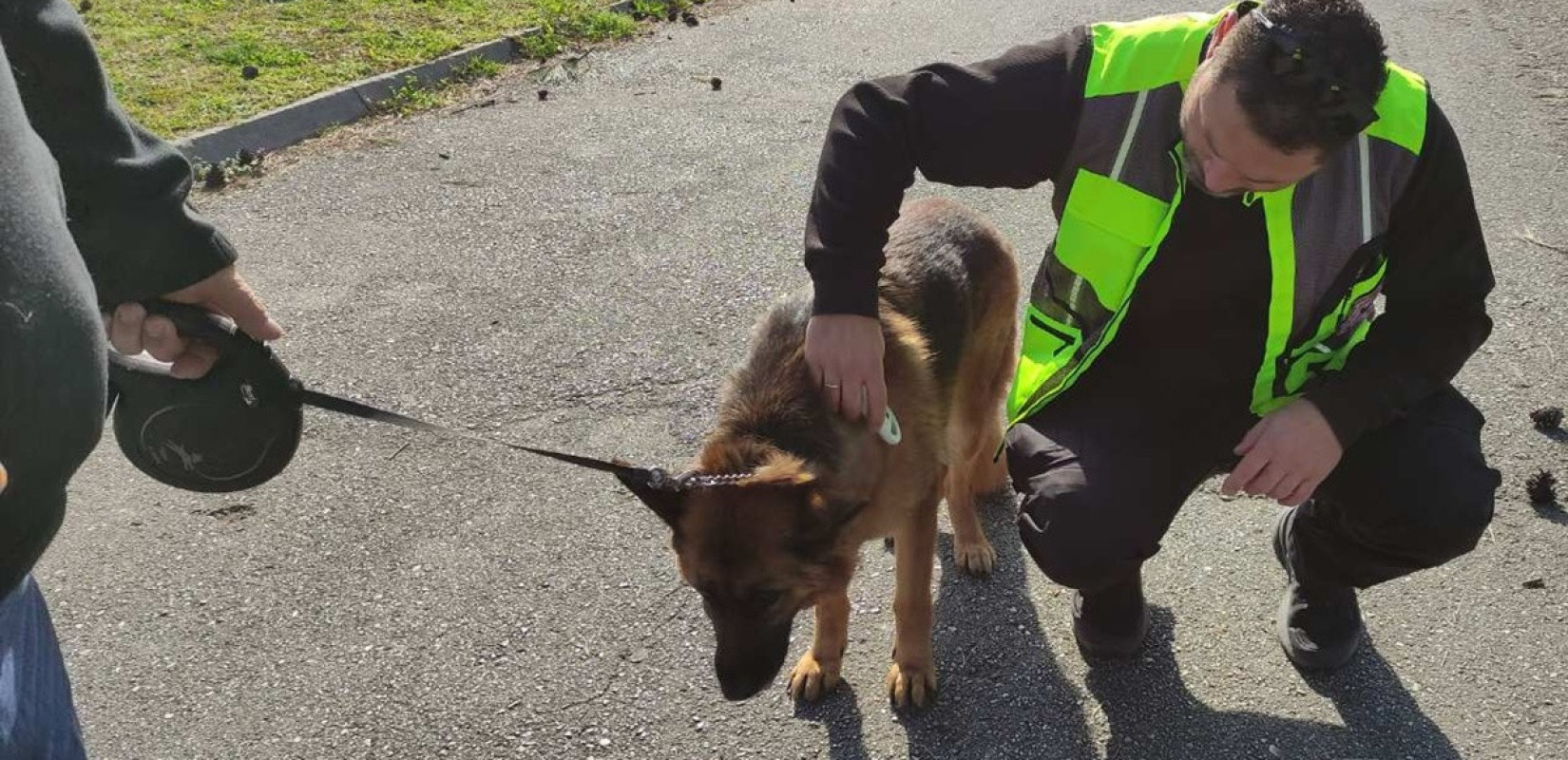 Θεσσαλονίκη: Τουλάχιστον 14 πρόστιμα για έλλειψη λουριού σε ζώα συντροφιάς - Έλεγχοι σε 142 ιδιοκτήτες