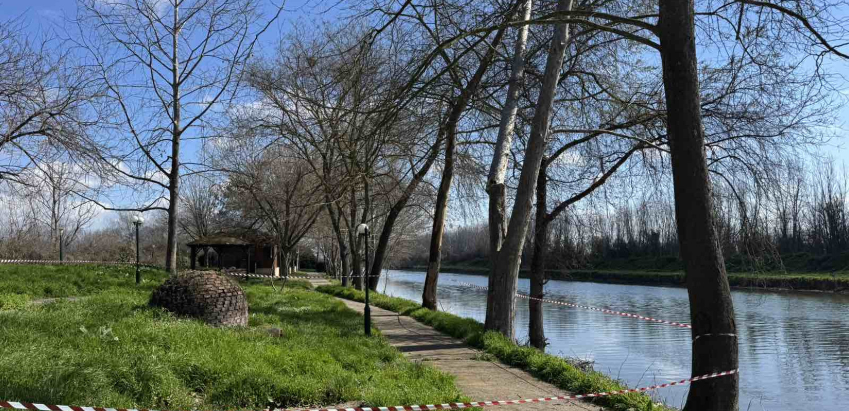 Κρούσμα έλκους πλατάνου στο Λουδία - Παρέμβαση του Δήμου Πέλλας για την αποτροπή εξάπλωσης