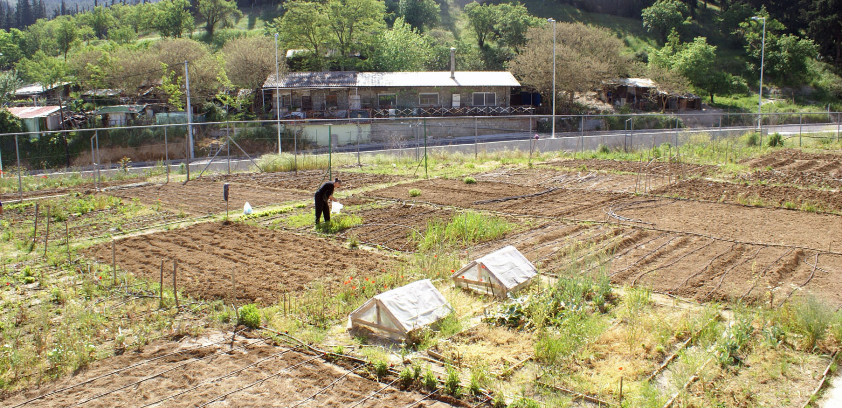 Έως τις 15 Μαρτίου οι αιτήσεις για τους δημοτικούς λαχανόκηπους στον δήμο Νεάπολης-Συκεών