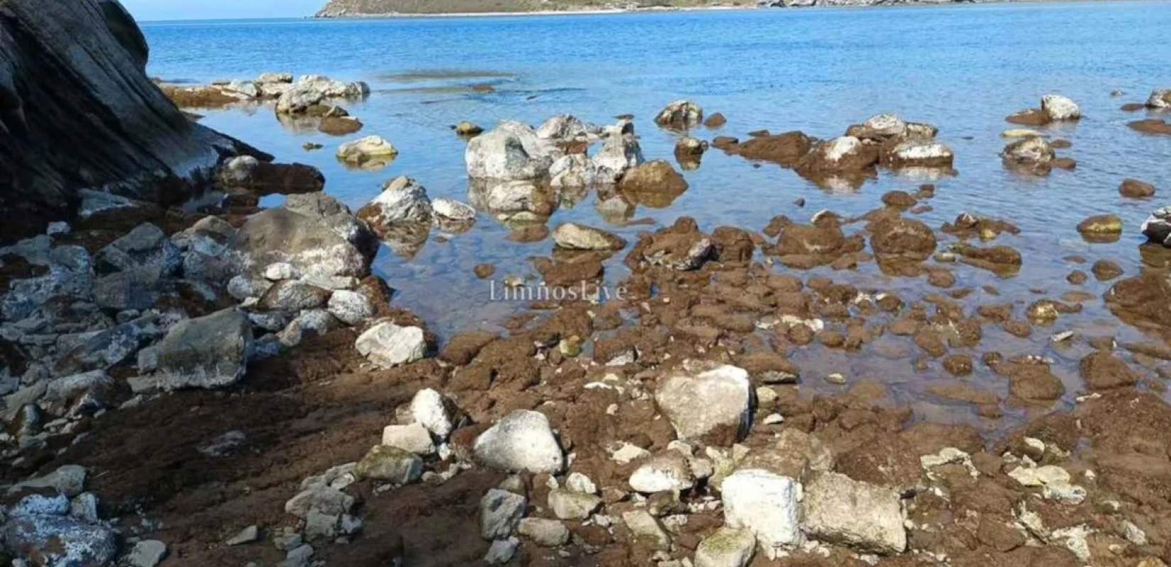 Εμφανίστηκε ο βυθός της Λήμνου - Δείτε βίντεο από την άμπωτη