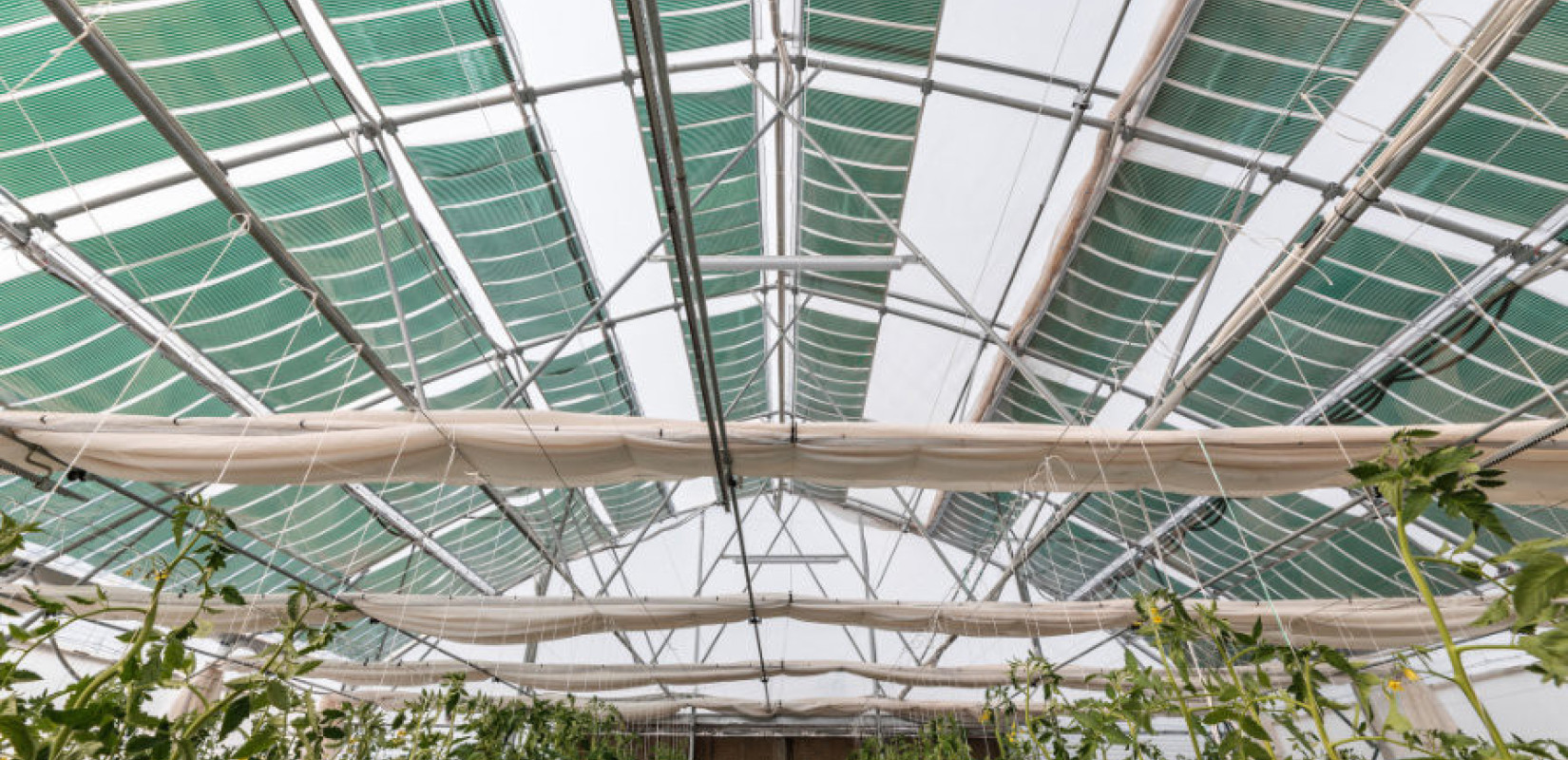 Θεσσαλονίκη: «Νέα σελίδα» για την αγροτική παραγωγή - Ποια τα οφέλη των φωτοβολταϊκών της OET Energy Technologies