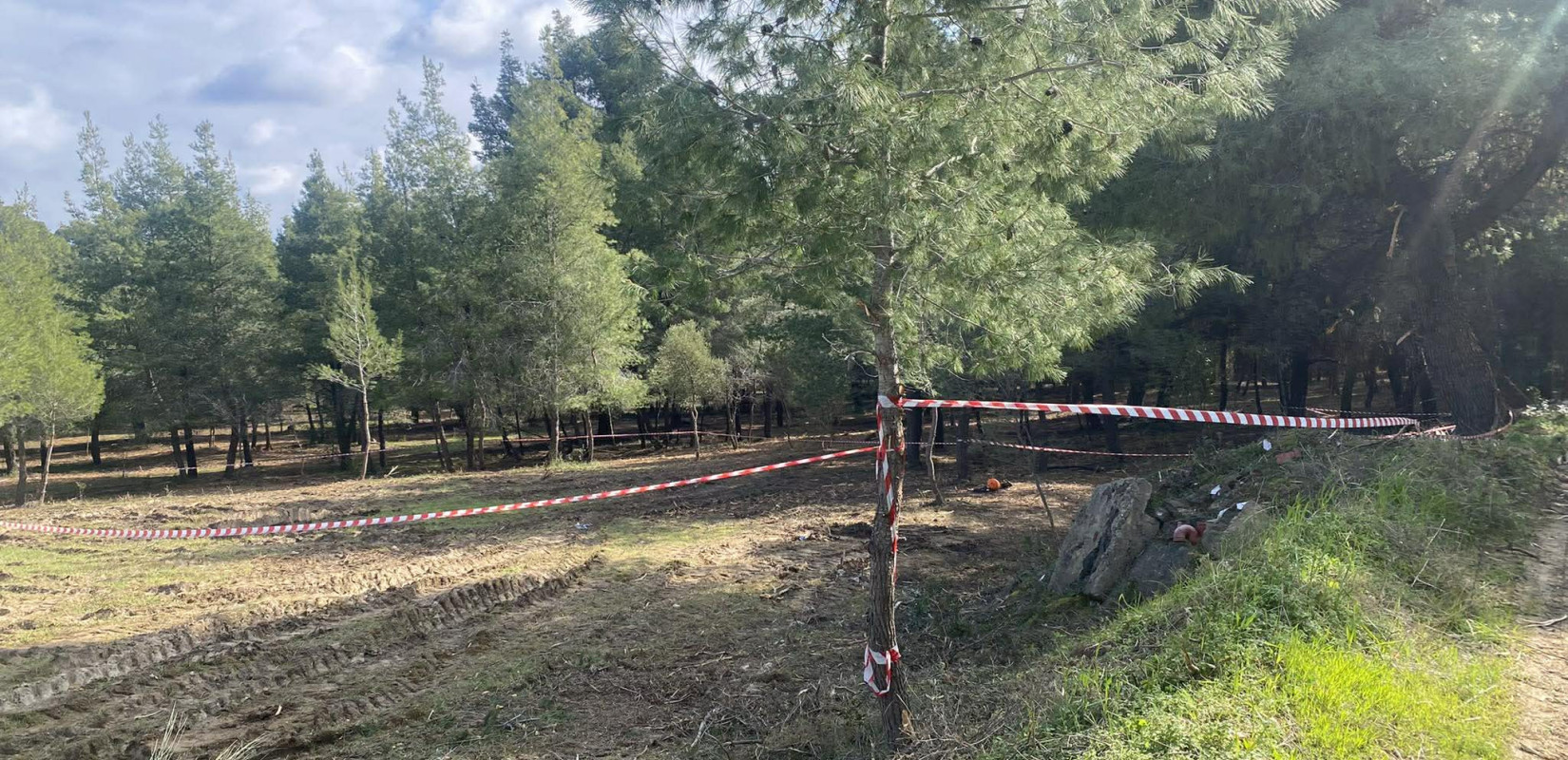 Χαλκιδική: Σε εξέλιξη οι έρευνες για την σορό που βρέθηκε σε δάσος (βίντεο)