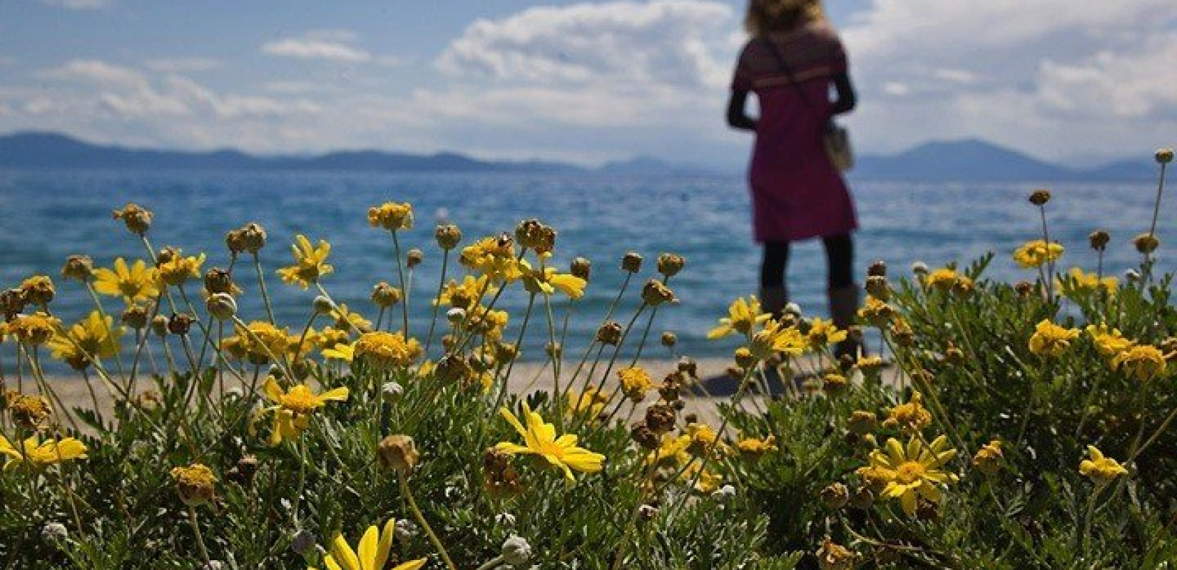 Καλοκαιρινός καιρός και σήμερα: Ηλιοφάνεια και υψηλές θερμοκρασίες