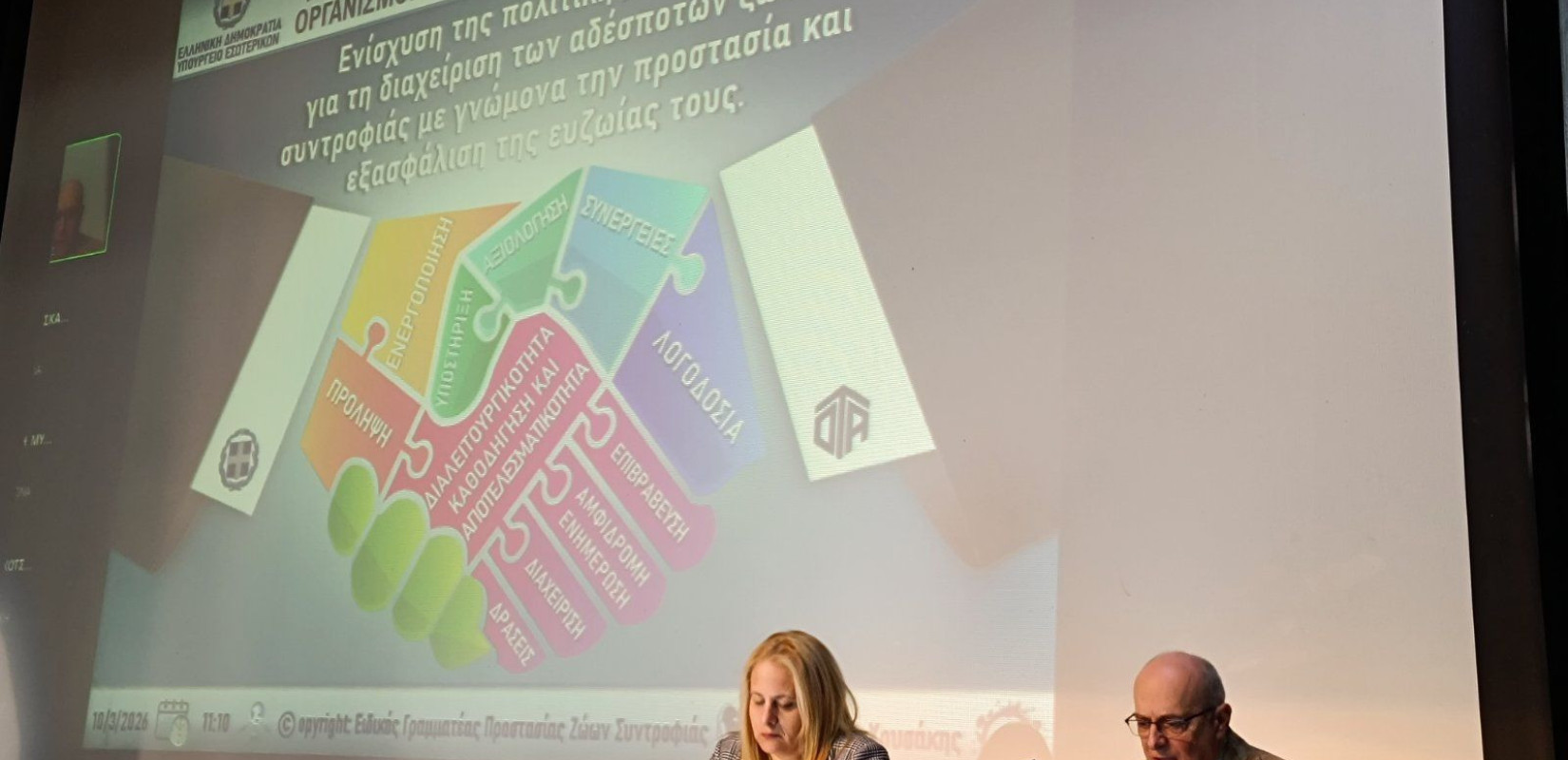 Δήμος Κορδελιού - Ευόσμου: Τεράστια η αύξηση των δεσποζόμενων ζώων συντροφιάς