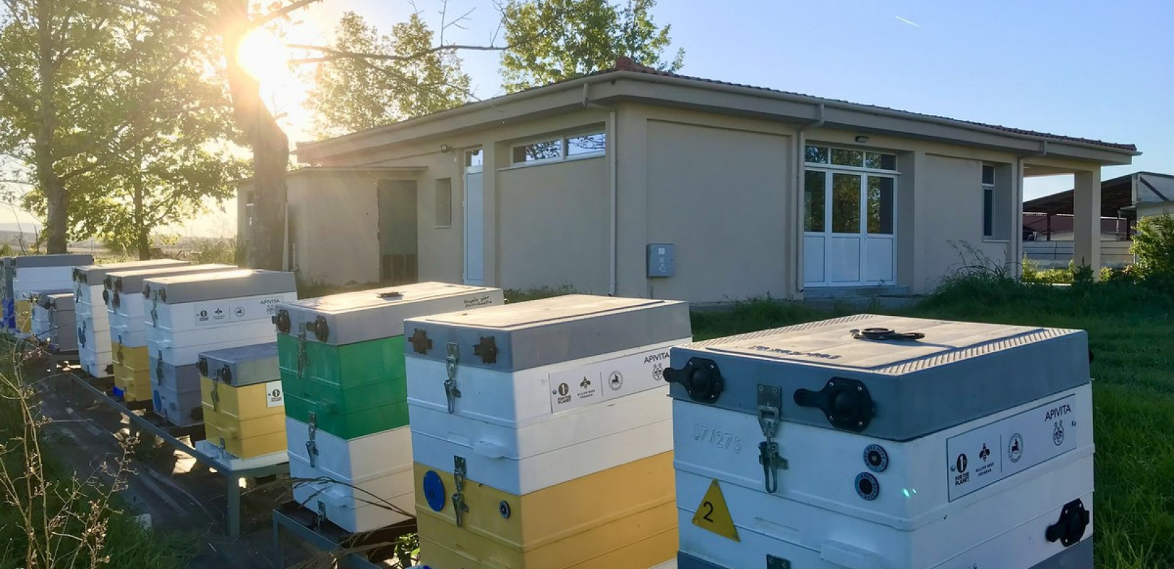 Πανεπιστήμιο Θεσσαλίας: Άτομα στο φάσμα του αυτισμού εκπαιδεύτηκαν στις εγκαταστάσεις του Εργαστηρίου Μελισσοκομίας ApislaB