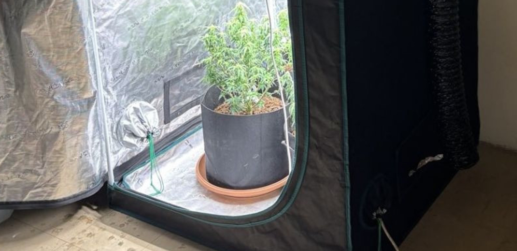 Πέλλα: Χειροπέδες σε άνδρα για καλλιέργεια κάνναβης μέσα σε ειδικά διαμορφωμένο χώρο στο σπίτι του