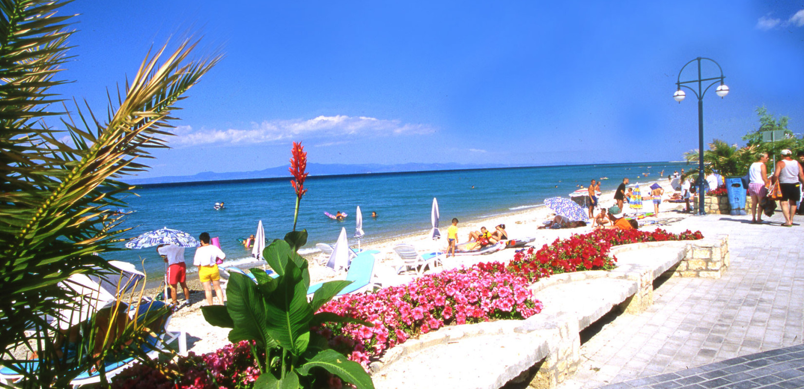 Κασσάνδρα: Ο πόλεμος δεν βλάπτει σοβαρά τον δημοφιλή τουριστικό προορισμό στη Χαλκιδική - Μηδαμινές οι ακυρώσεις