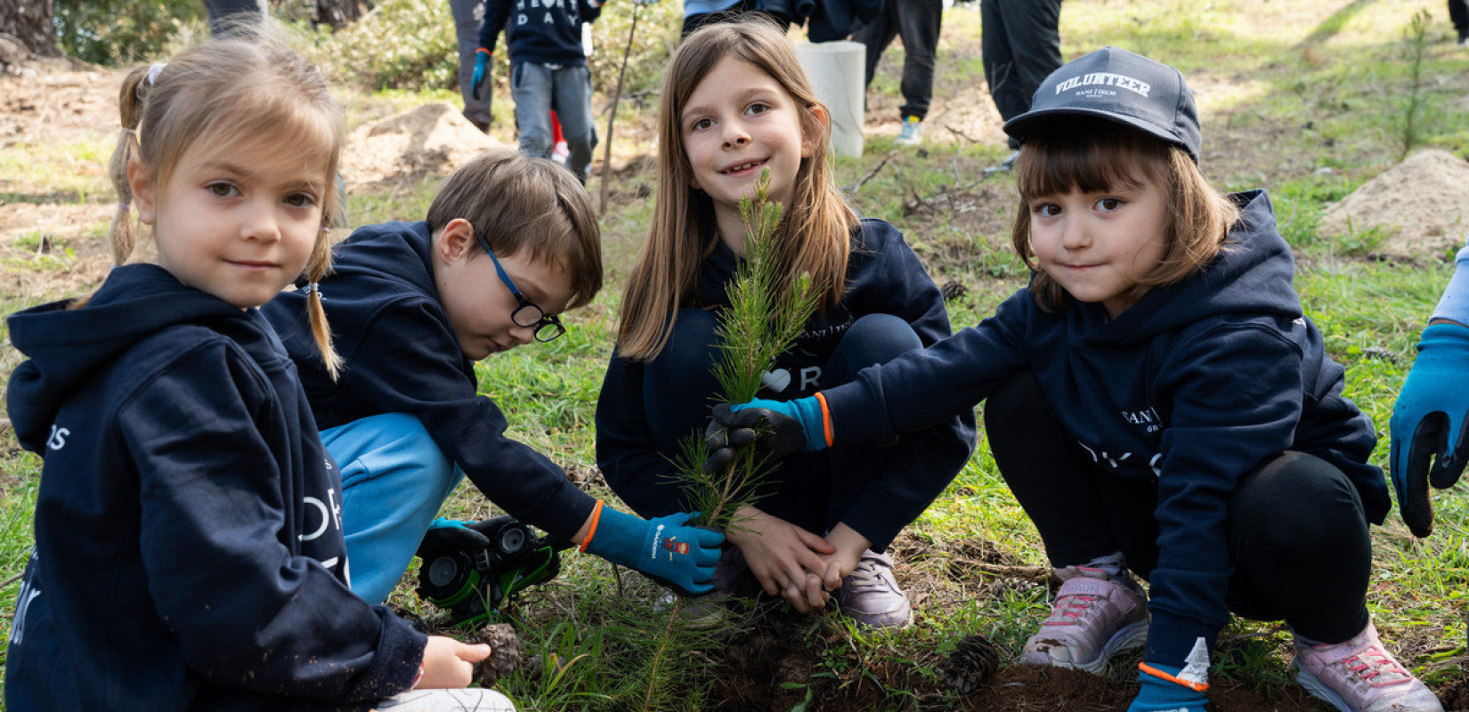 Χαλκιδική: Πρόγραμμα φύτευσης 6.000 δέντρων για την ενίσχυση του παράκτιου πευκοδάσους της Σάνης