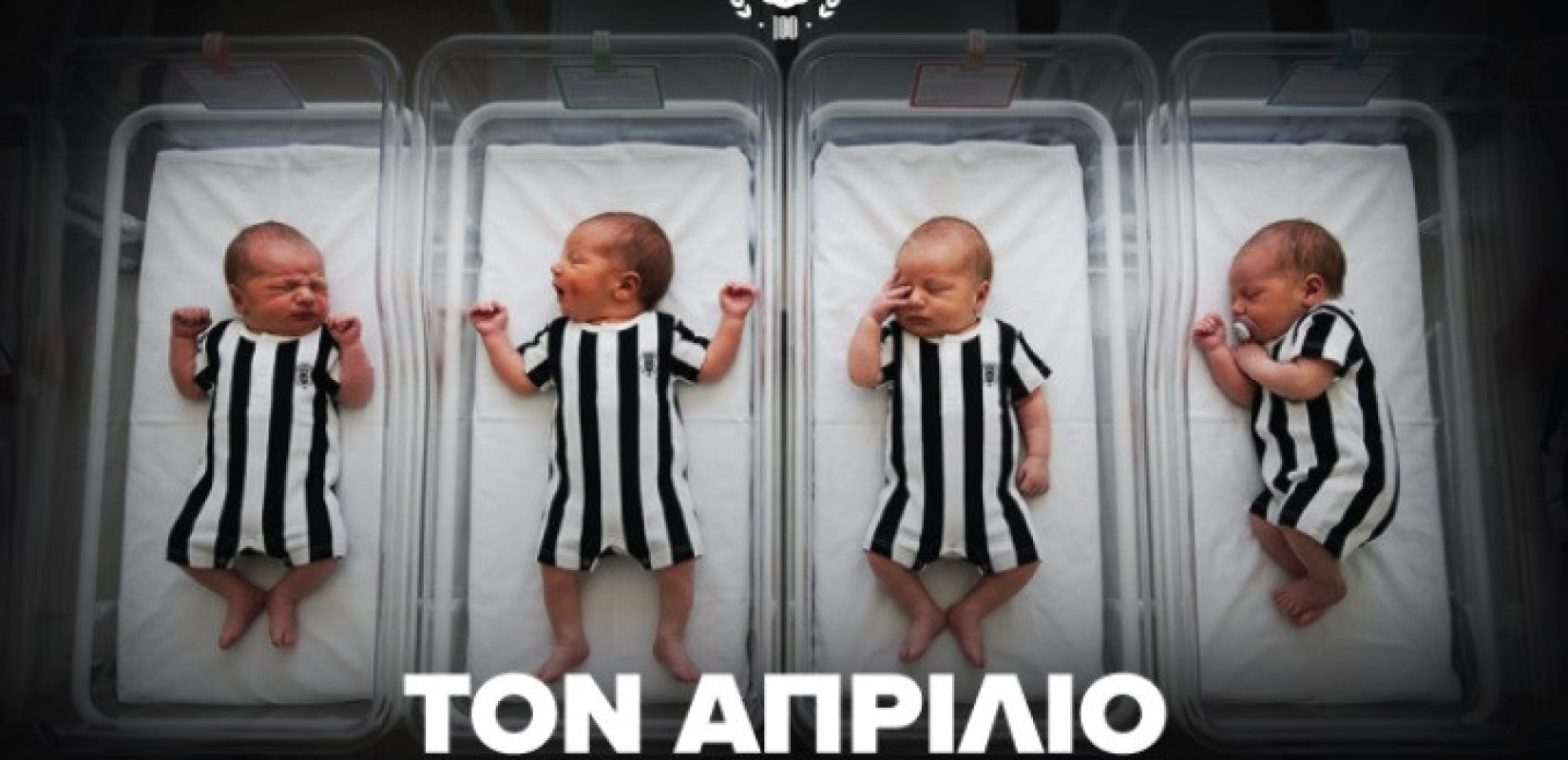 Έτσι θα μάθουν από... μωρά: Η εξαιρετική πρωτοβουλία της ΠΑΕ ΠΑΟΚ για τα παιδιά του «χρυσού» Απριλίου