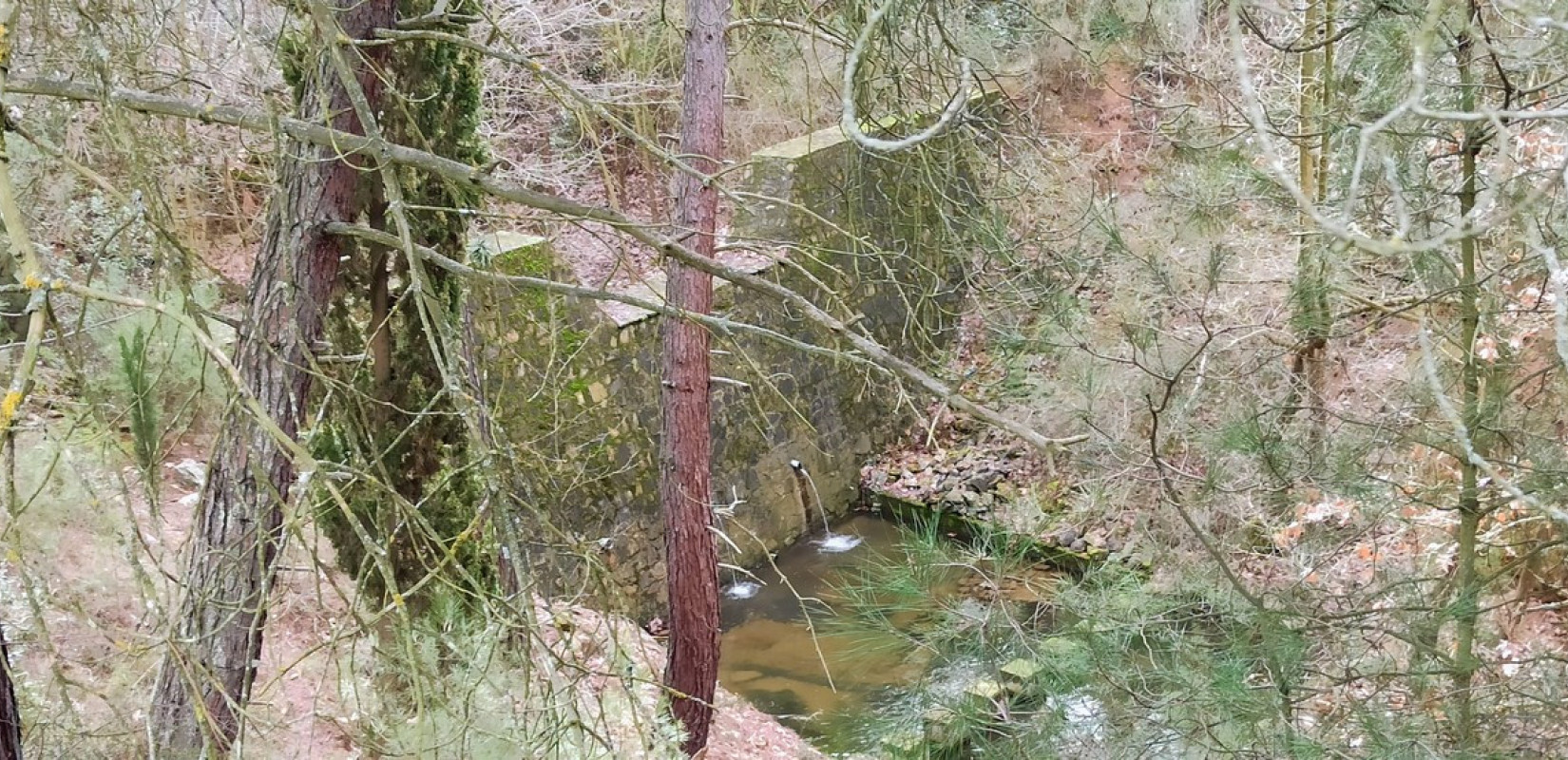 Δασαρχείο Θεσσαλονίκης: Δύο μεγάλα αντιπλημμυρικά έργα σε Θέρμη και Ευκαρπία