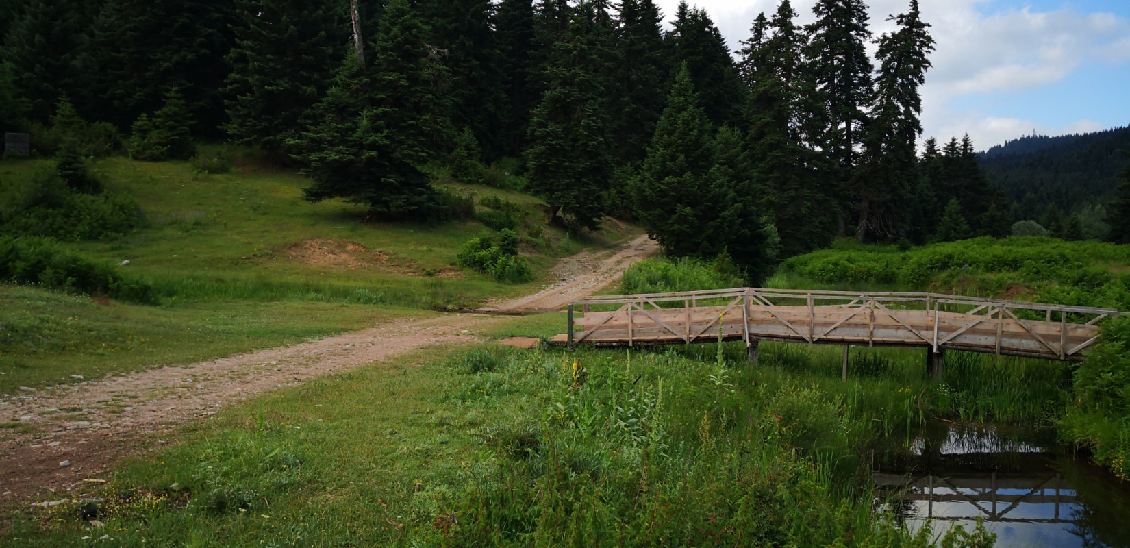 Φωτογραφία: ΑΠΕ-ΜΠΕ