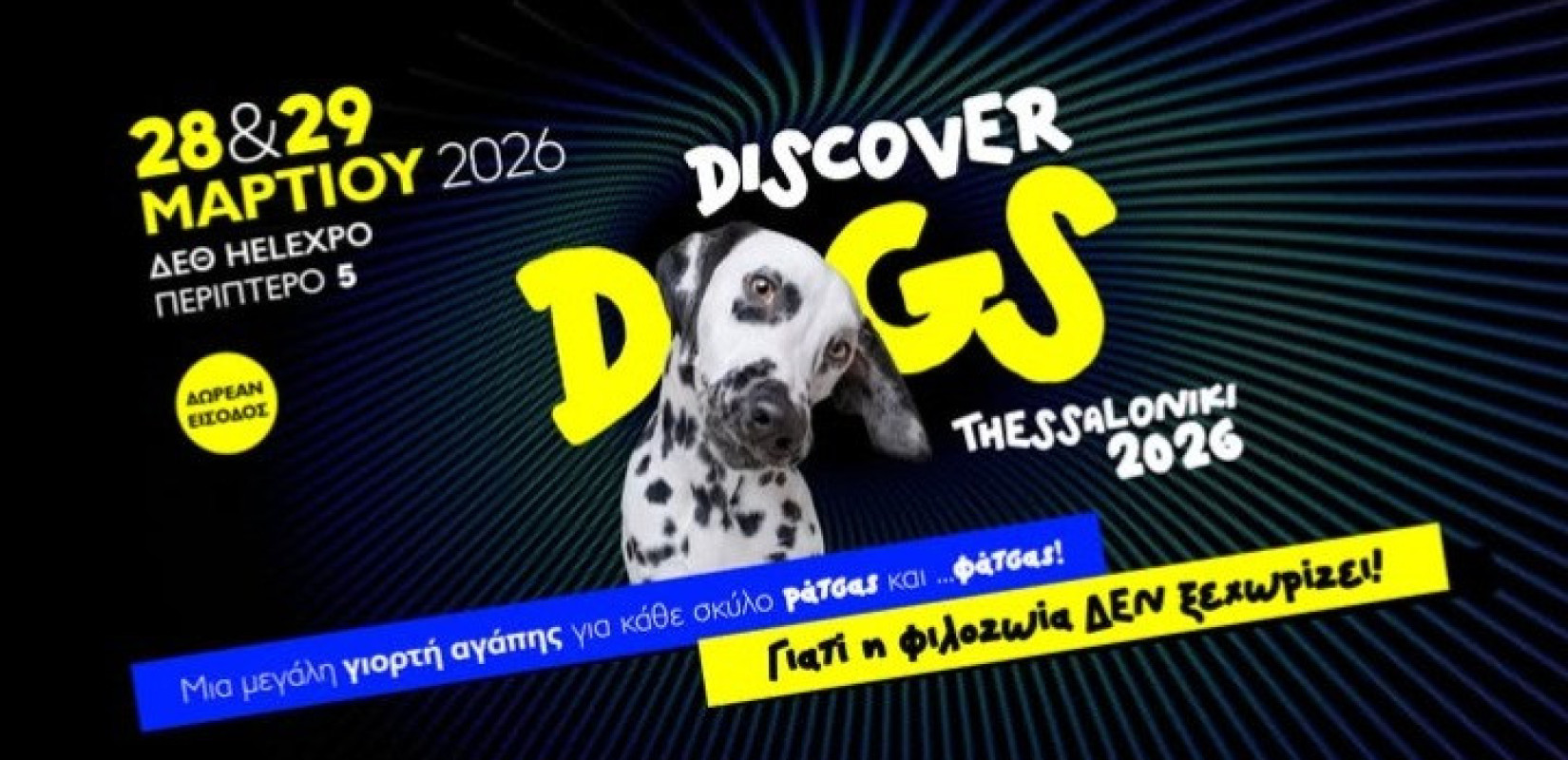 Θεσσαλονίκη: Έρχεται στην ΔΕΘ το διήμερο φεστιβάλ για σκύλους «Discover Dogs»