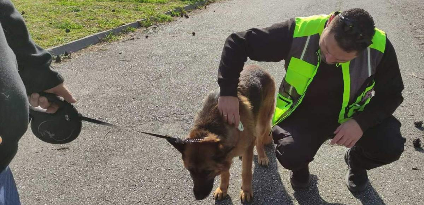 Θεσσαλονίκη: 128 κηδεμόνες ελέγχθηκαν τον Μάρτιο - Πρόστιμα 6.800 ευρώ