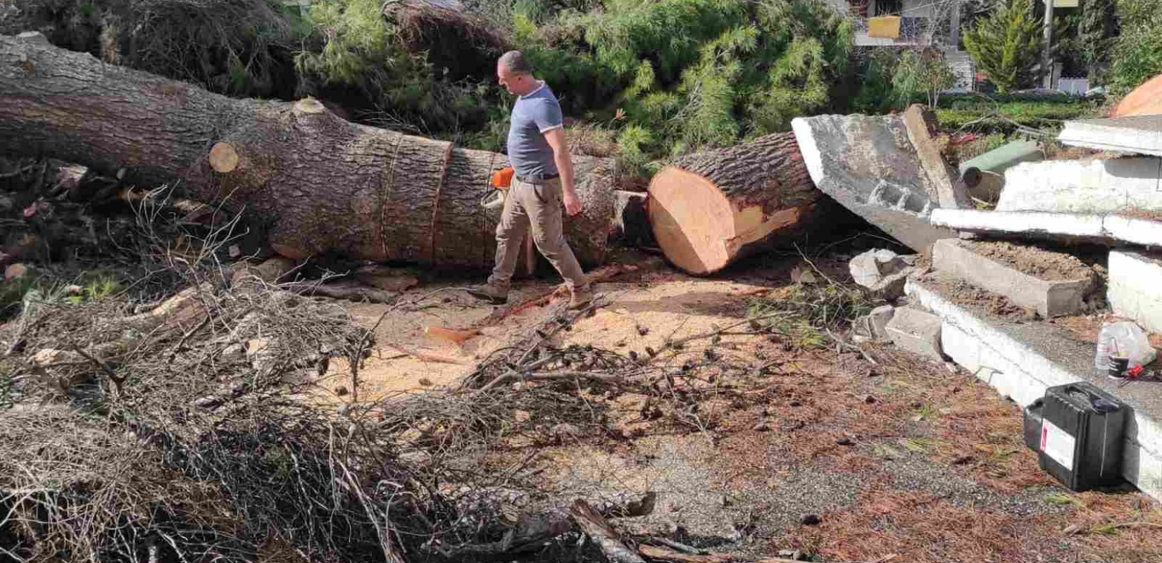 Δήμος Θέρμης: Αποκατάσταση ζημιών στον προαύλιο χώρο του Ιερού Ναού Αγίου Αθανασίου Τριλόφου έπειτα από πτώση δένδρου