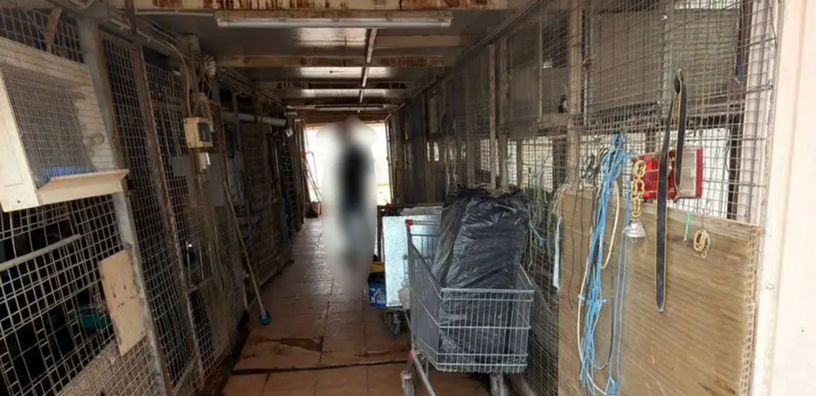 Αθήνα: CEO γνωστής εταιρείας ο αρχιτέκτονας που έστησε παράνομο μαντρί σε ταράτσα πολυκατοικίας στους Αμπελόκηπους (βίντεο)