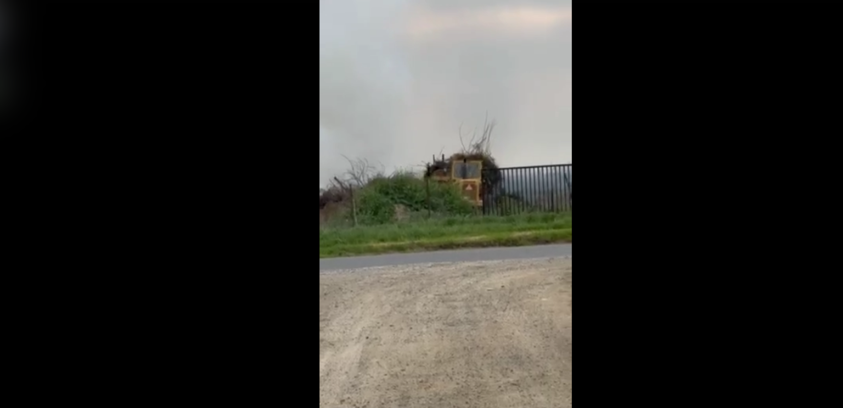 Κουφάλια: Αντιδράσεις για την καύση φυτικών αποβλήτων σε δημοτικό χώρο - «Είχαμε άδεια και μέτρα ασφαλείας», απαντά ο Δήμος Χαλκηδόνος