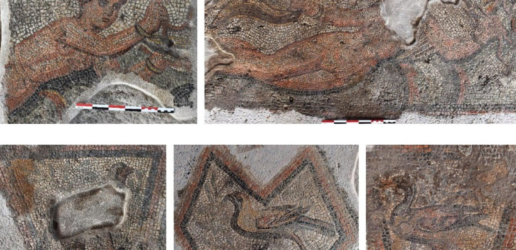 Φλώρινα: Εγκρίθηκε έργο 2,5 εκατ. ευρώ αποκατάστασης Ρωμαϊκής έπαυλης στο Αμύνταιο