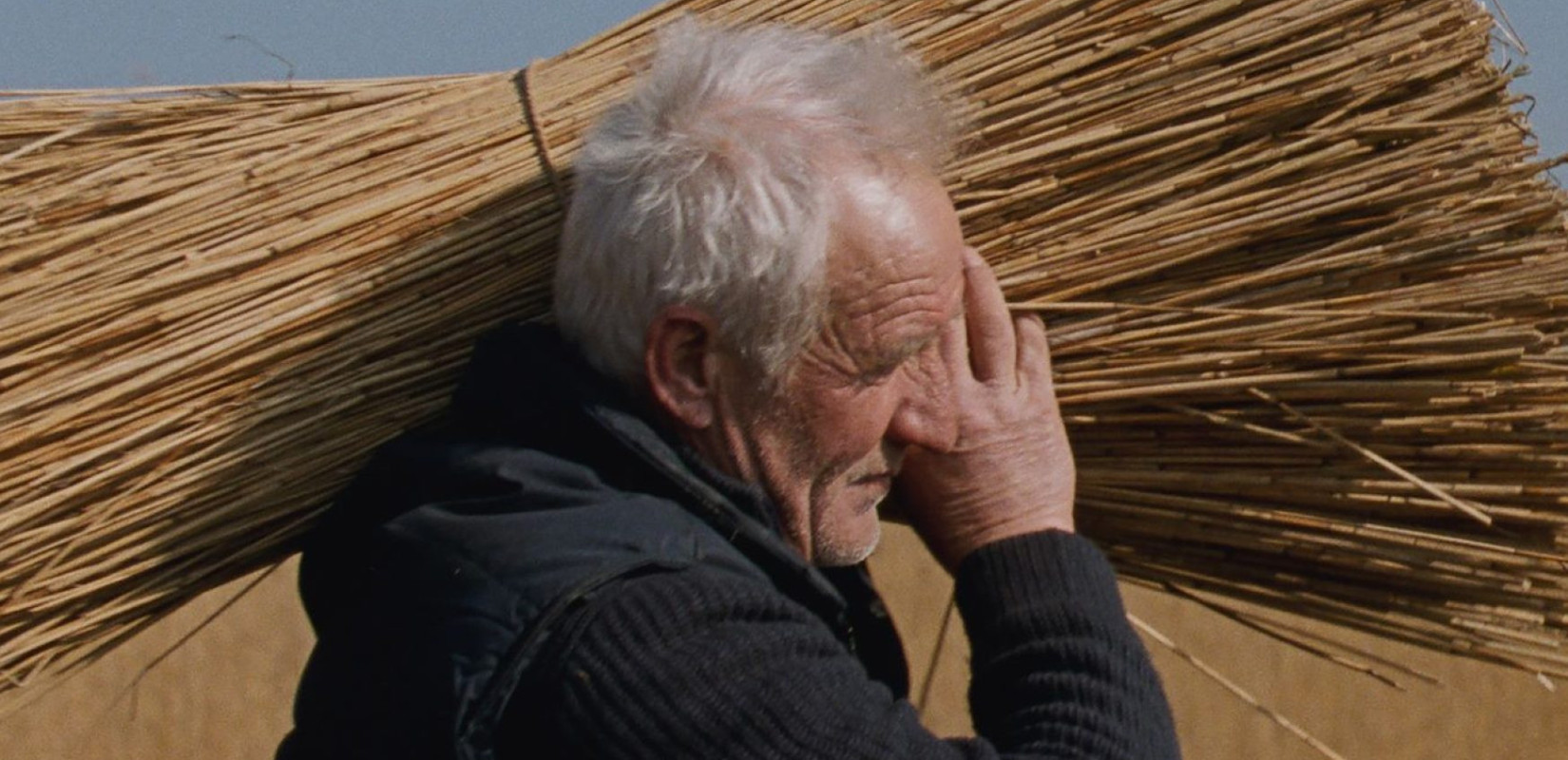 Σινεμά - Ο Αλέξης Δερμεντζόγλου επιλέγει: Δυσοίωνο μέλλον, συζυγικά δράματα, Βιβάλντι και ο Μαρσέλ Πανιόλ