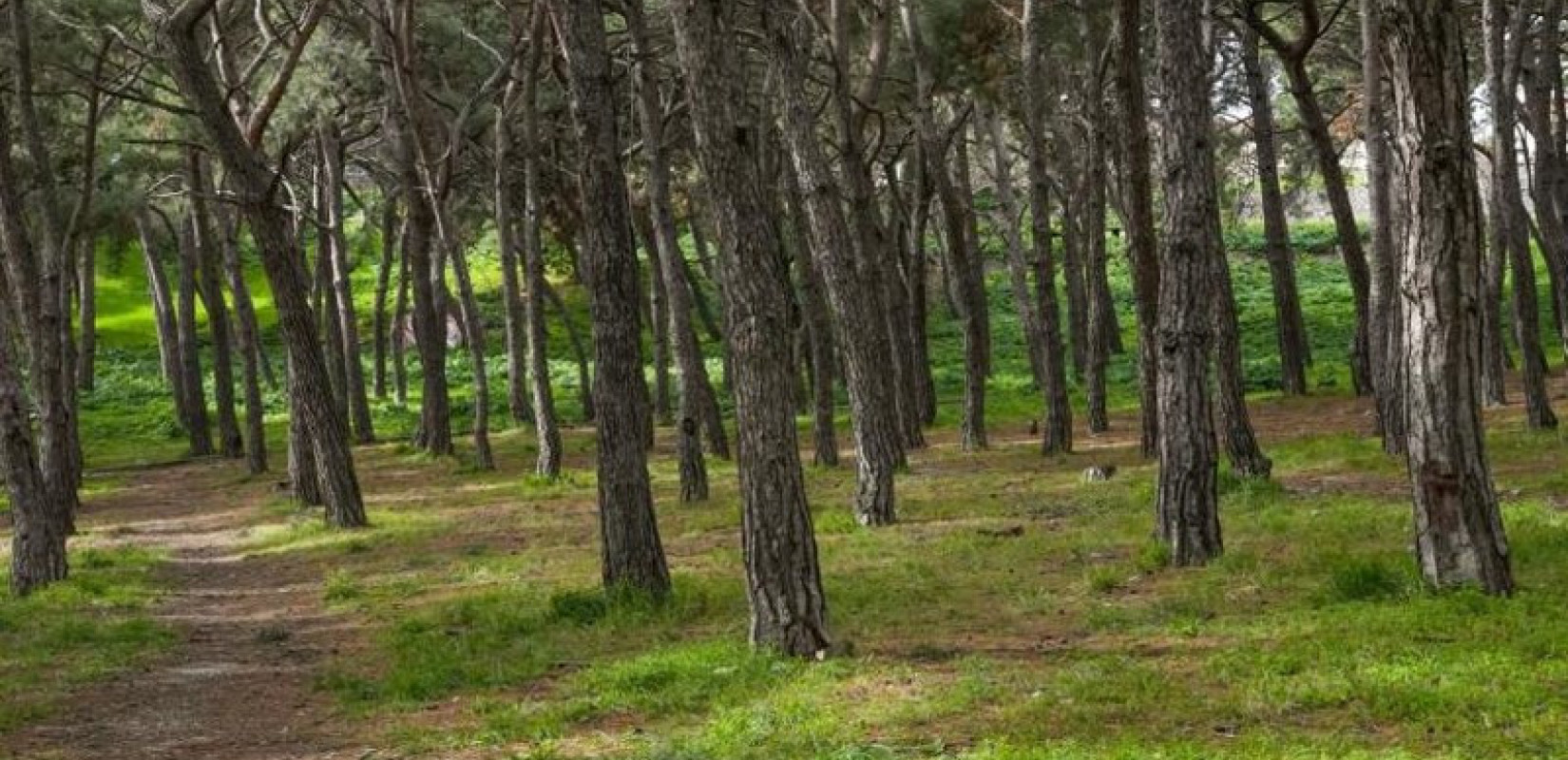 Ωραιόκαστρο: Πέντε νέες πράσινες διαδρομές αλλάζουν τον αστικό χάρτη με χρηματοδότηση 15 εκατ. ευρώ από το ΕΣΠΑ