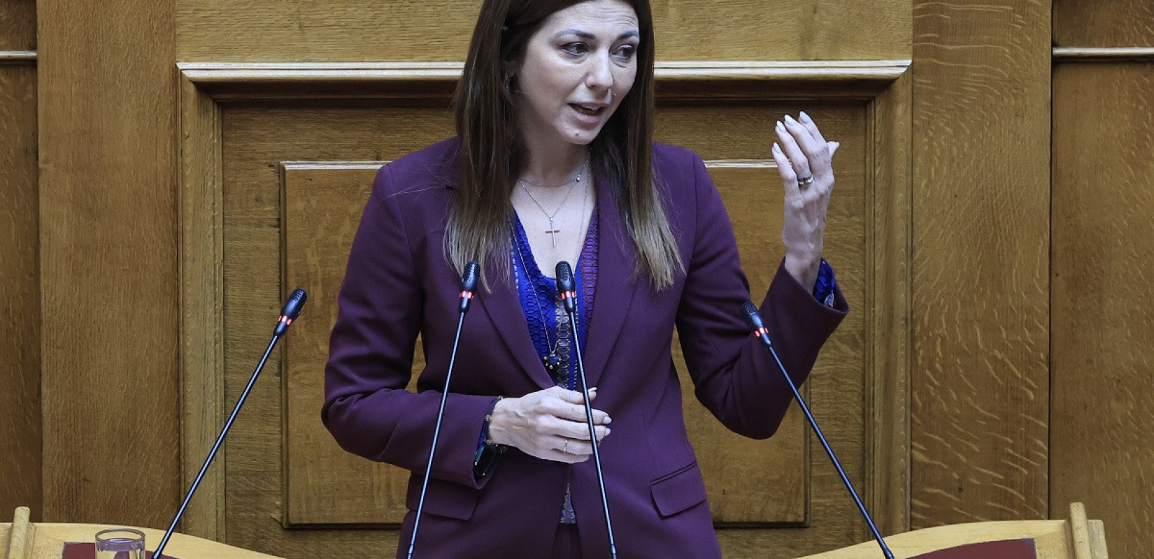 Σ. Ζαχαράκη: Η ίδρυση της ΑΣΠΤ εκπληρώνει το όραμα χρόνων του καλλιτεχνικού και δημιουργικού κόσμου της χώρας