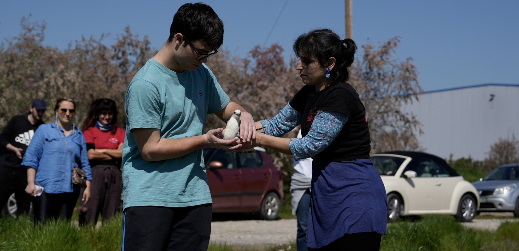 Θεσσαλονίκη: Άγρια πουλιά επανεντάχθηκαν σε Καλοχώρι και Κορώνεια