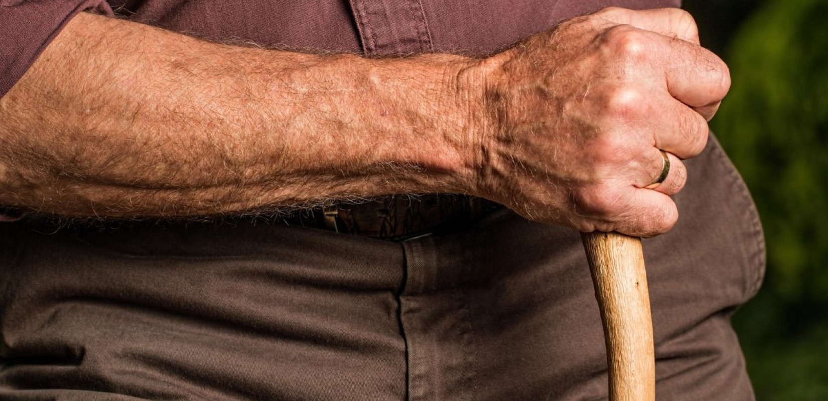 Φωτογραφία αρχείου από pixabay.com