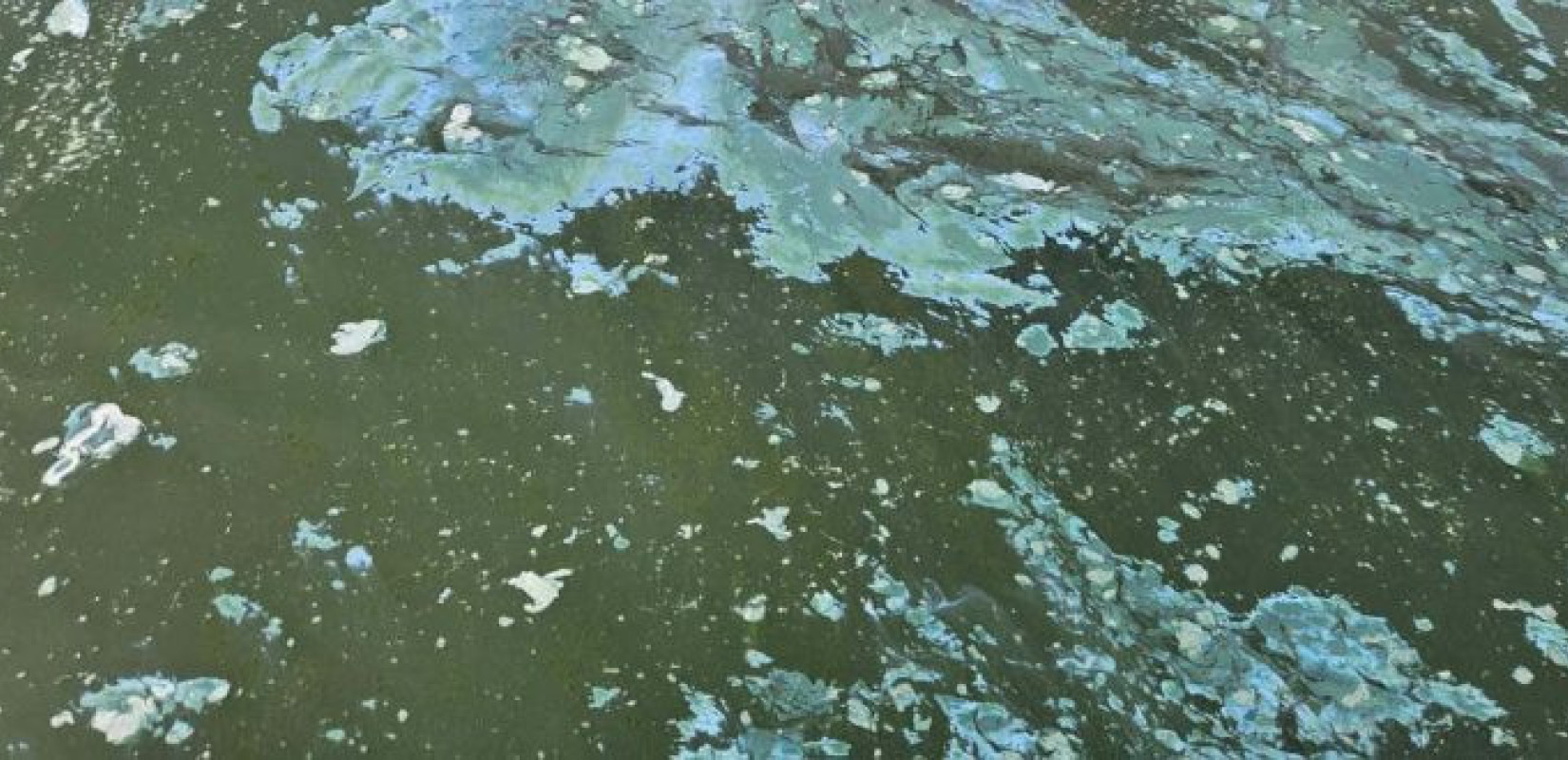 Κοζάνη: Άσπρος αφρός στη Λίμνη Πολυφύτου - Τι εκτιμούν οι επιστήμονες