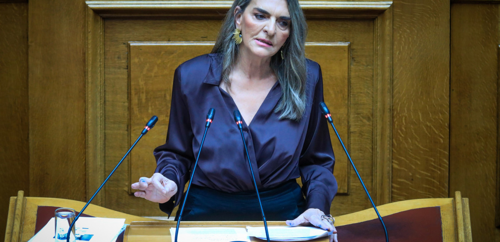 Βουλή - Πέτη Πέρκα: «Ο εθισμός στη στρεβλή κανονικότητα του κ. Μητσοτάκη συνιστά τη μεγαλύτερη ήττα μιας δημοκρατικής κοινωνίας»