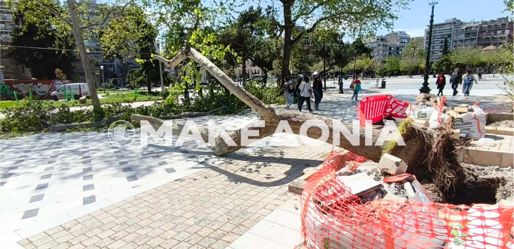 Θεσσαλονίκη: Πλατάνι 5 μέτρων κατέρρευσε από το δυνατό αέρα στην Αριστοτέλους - Κινδύνευσε παιδάκι (βίντεο)