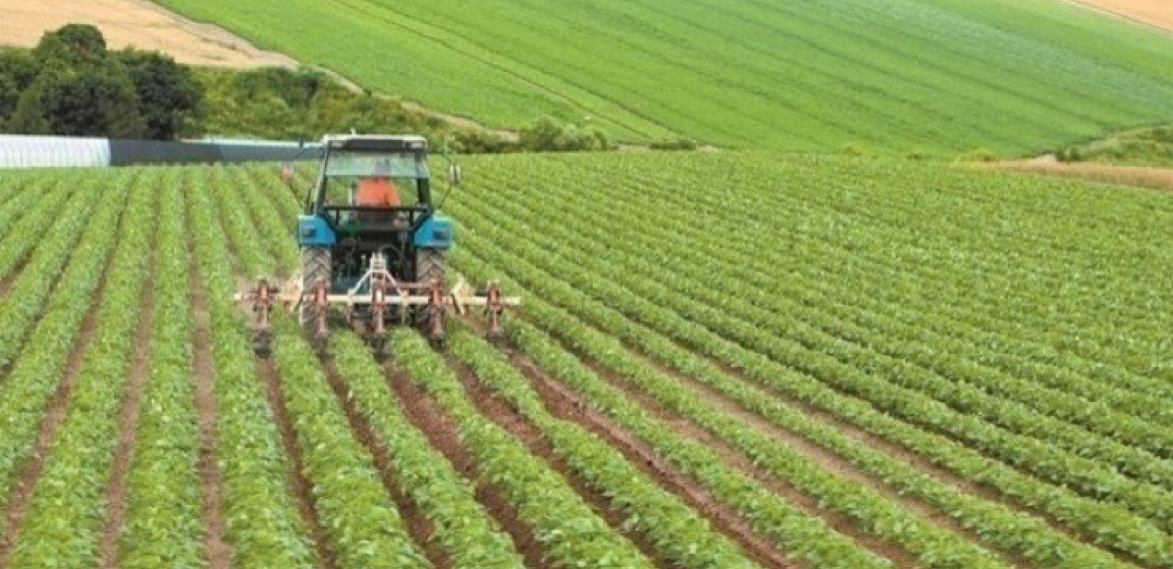Κρήτη:  57 παραγωγοί κρίθηκαν ένοχοι για παράνομες επιδοτήσεις από τον ΟΠΕΚΕΠΕ