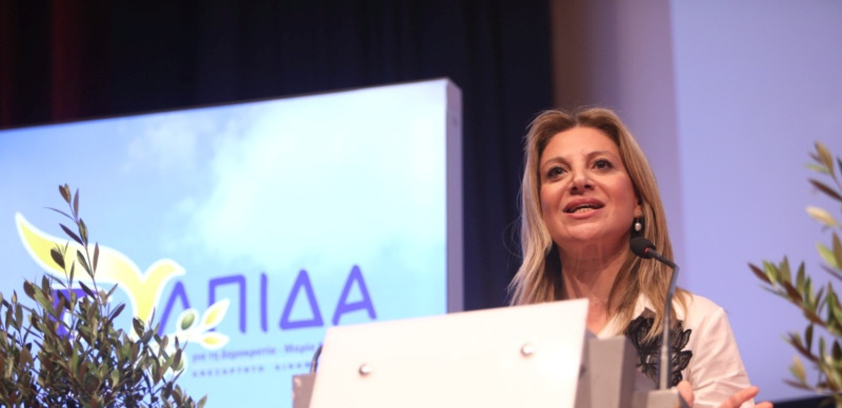Ελπίδα για τη Δημοκρατία: Αυτό είναι το προσωρινό Πολιτικό Συμβούλιο του κινήματος
