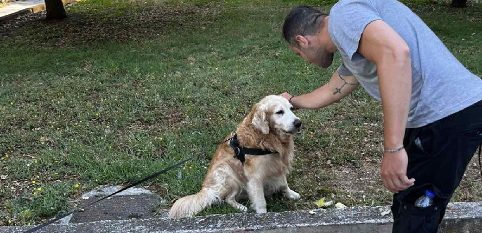 Θεσσαλονίκη: Έλεγχοι της ΕΛ.ΑΣ. σε ιδιοκτήτες ζώων - Τουλάχιστον 23 πρόστιμα για παραβάσεις