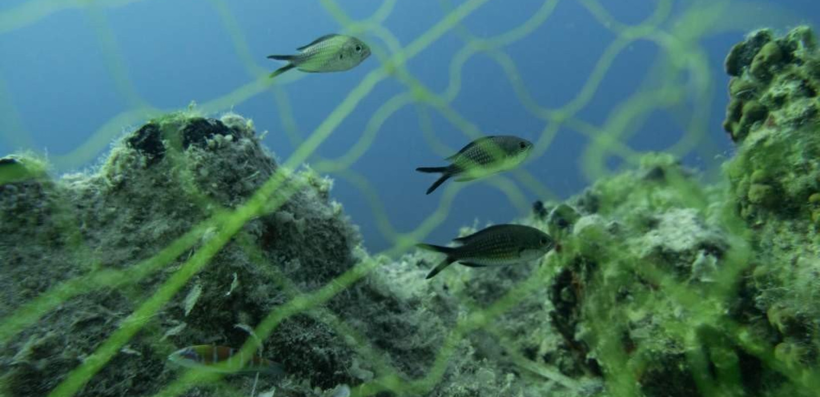 H... KATERINA II έπιασε δουλειά στις ελληνικές θάλασσες και μετρά τη ραδιενέργειά τους! 