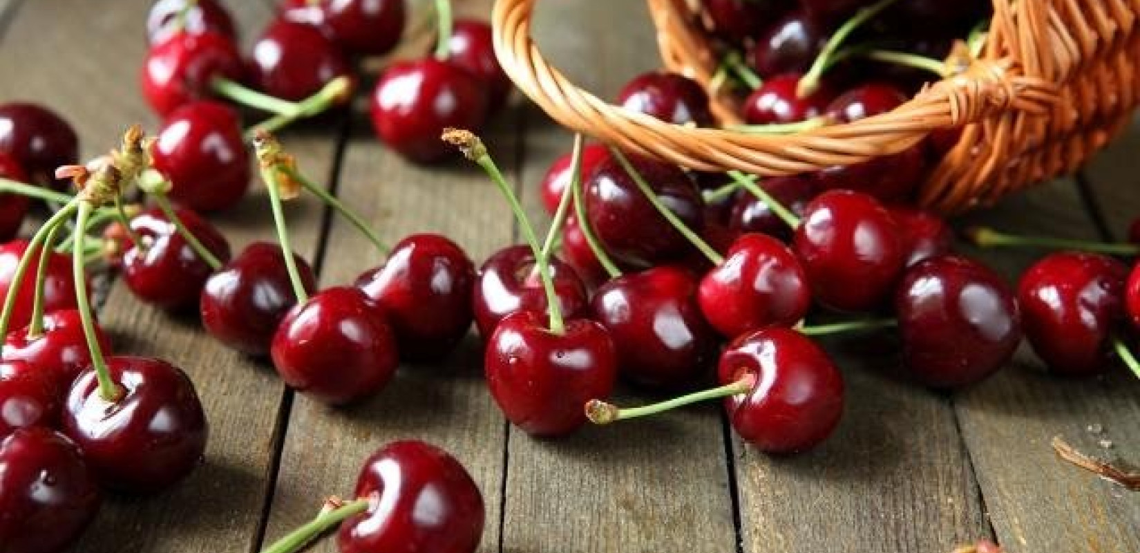 Ν. Πέλλας: Ολική καταστροφή στο πρώιμο κεράσι Ν. Πέλλας: Ολική καταστροφή στο πρώιμο κεράσι