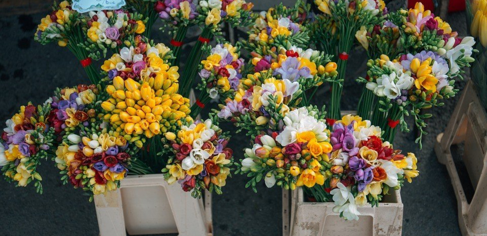 ΕΕΘ: Λαθρεμπόριο λουλουδιών στο ΑΠΘ