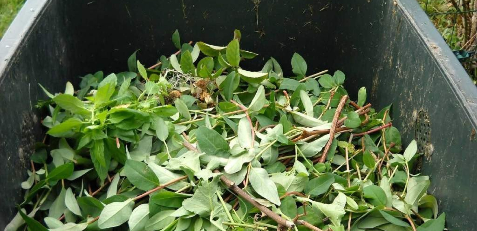 Θεσσαλονίκη: Τέσσερις χιλιάδες οικιακοί κάδοι κομποστοποίησης στα μέλη των ενώσεων αστυνομικών