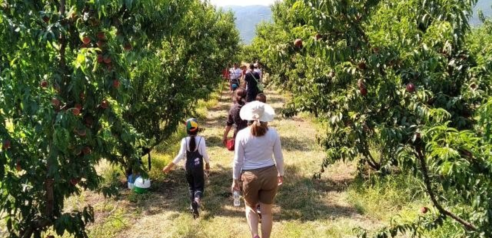 Θεσσαλονίκη: Στην ΑΝΕΘ 13 προτάσεις για επενδύσεις στο πλαίσιο LEADER